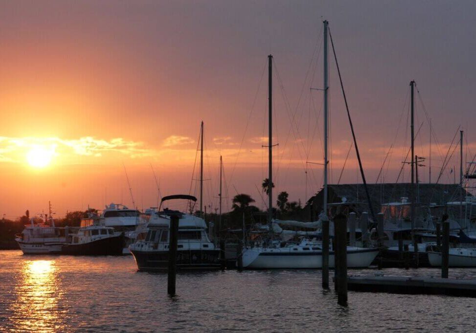 Marina sunset